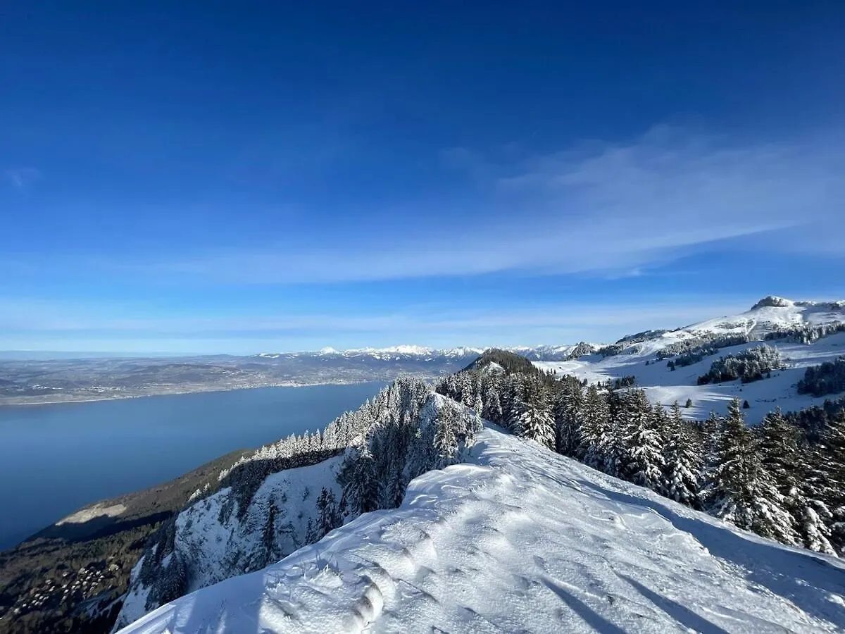 Studio Bleuets Du Leman Vue Sur Lac Thollon-les-Memises
