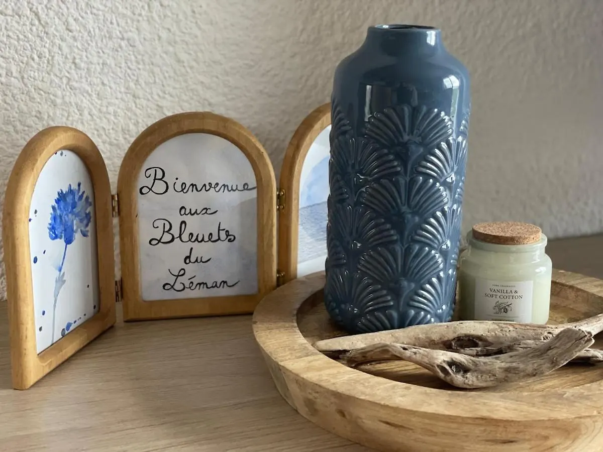 Studio Bleuets Du Leman Vue Sur Lac Thollon-les-Memises 0*,