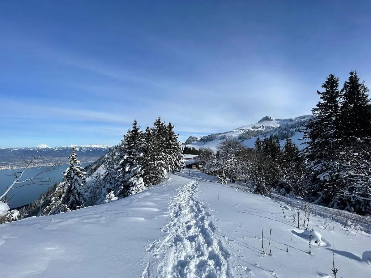 Studio Bleuets Du Leman Vue Sur Lac Thollon-les-Memises Apartment