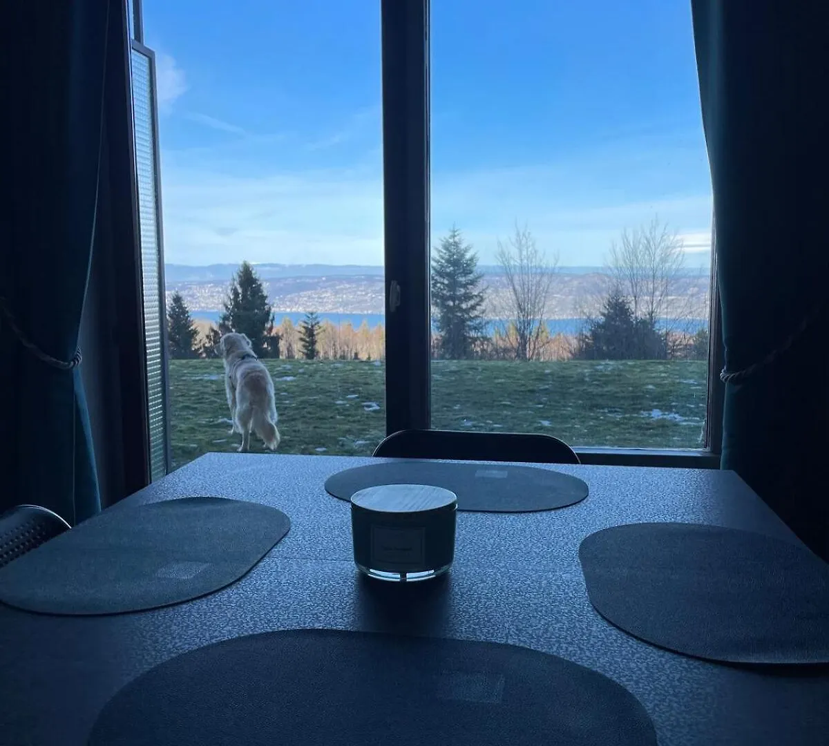 Studio Bleuets Du Leman Vue Sur Lac Thollon-les-Memises France
