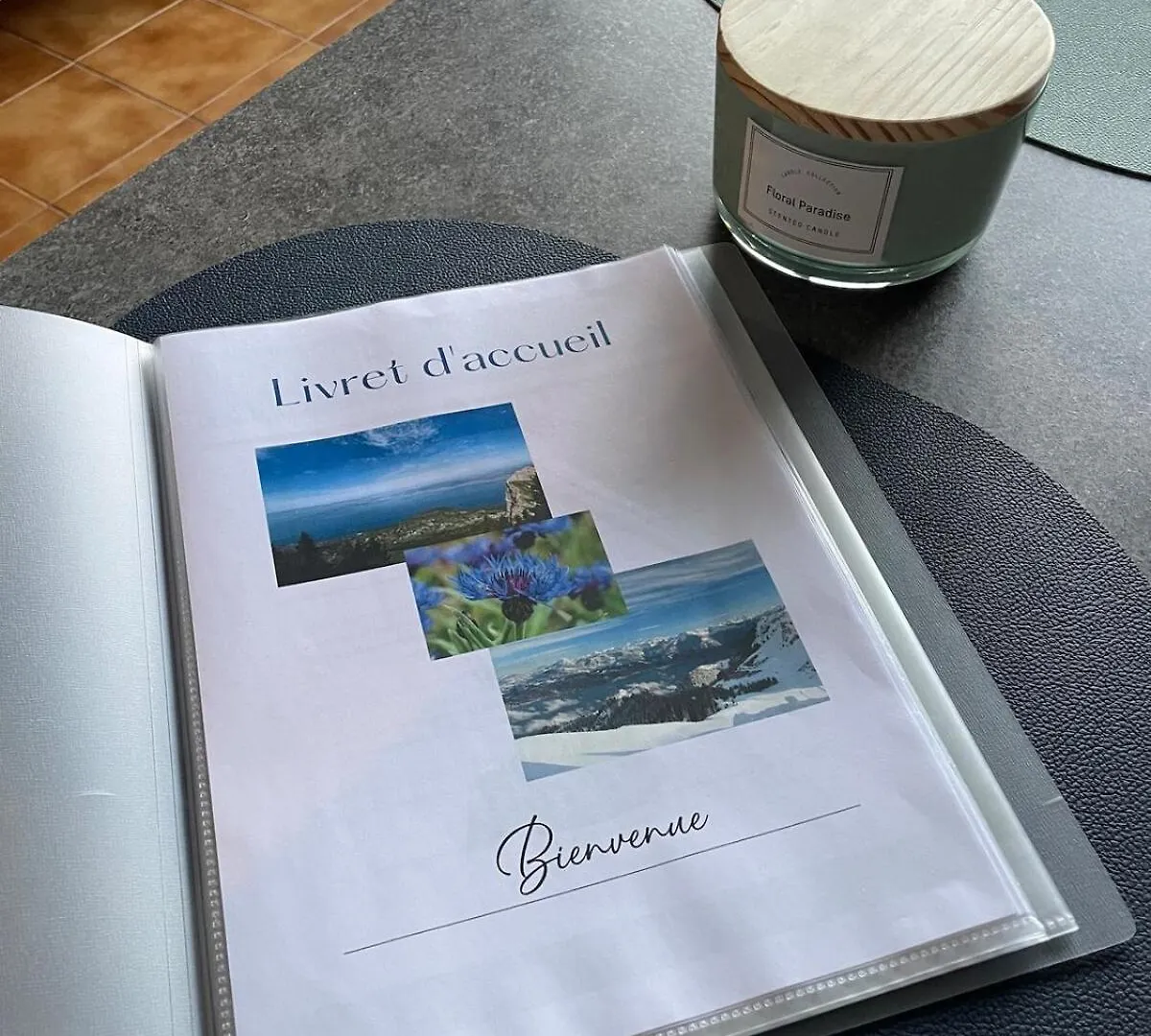 Apartment Studio Bleuets Du Leman Vue Sur Lac Thollon-les-Memises