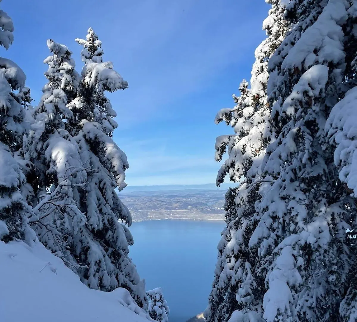 Studio Bleuets Du Leman Vue Sur Lac Thollon-les-Memises